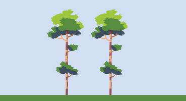 Flat design illustration of tall trees in a forest, isolated on a clean background, showcasing the beauty of nature and a serene, peaceful forest scene with lush greenery and tall trunks. vector