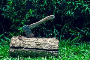 The axe is placed on a log. photo