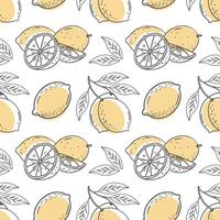 Lemon seamless pattern. Hand drawn outline citrus fruits on a white background. Illustration. vector
