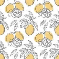 Lemon seamless pattern. Hand drawn outline citrus fruits on a white background. vector