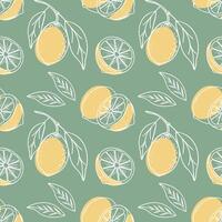 Lemon seamless pattern. Hand drawn outline citrus fruits on a green background. Illustration. vector