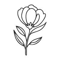 Geometric symmetrical design with artistic flower elements and intricate petal details vector