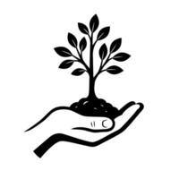 Hand holding small tree icon with soil and growth vector