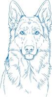 Modern Minimal German Shepherd Art Clean Dog Line Drawing vector