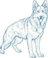 Simple Minimal German Shepherd Line Art Dog Icon vector