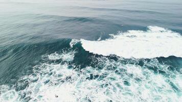 Drone view of surfer riding on wave. Perfect breaking waves in ocean video