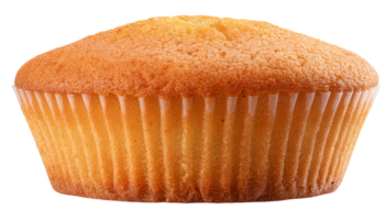 front view of classic vanilla cupcake with golden top and soft fluffy sponge texture in paper liner on isolated background png