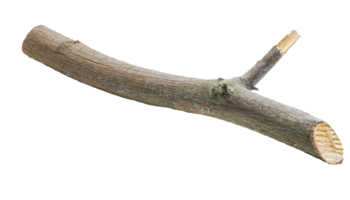 rough wooden broken tree branch with visible bark texture and sharp cut end, rustic nature element on isolated background png