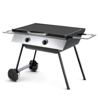 A gas barbecue grill offers convenience with adjustable temperature control, allowing for precise cooking and less smoke compared to charcoal. png