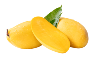 Two ripe yellow mango fruits and mango half with green leaves and water droplets in stack isolated in file format png