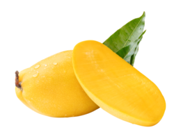 Single ripe yellow mango and half with green leaves and water droplets in cross shape isolated with clipping path in file format png
