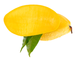 Ripe mango and half with green leaves and water droplets in horizon heap isolated with clipping path in file format png