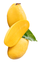 Ripe mango fruits and mango half with green leaves and water droplets in stack isolated in file format png