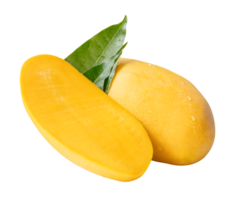 Ripe mango and half with green leaves and water droplets in stack isolated with clipping path in file format png