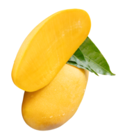 Ripe yellow mango and half with green leaves and water droplets in stack isolated with clipping path in file format png