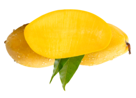 Two ripe mangoes and half with green leaves and water droplets in stack isolated with clipping path in file format png