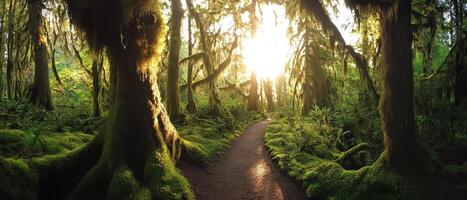 A serene forest path illuminated by sunlight filtering through lush foliage, creating a tranquil and mysterious atmosphere. photo