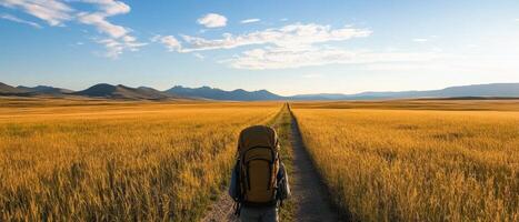 A hiker with a backpack walks along a path through a golden landscape under a clear blue sky, surrounded by distant mountains. photo