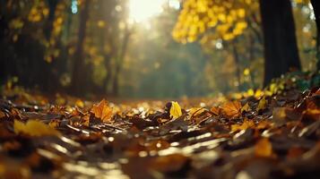 Golden autumn leaves blanket a serene forest floor, illuminated by soft sunlight filtering through the trees. photo