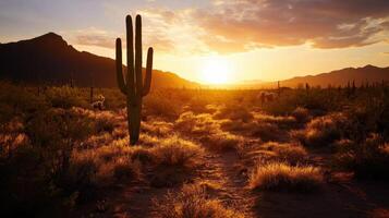 Vibrant sunset over a desert landscape featuring a tall cactus, enhancing the serene atmosphere of nature. photo