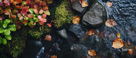 A serene scene of smooth stones and vibrant foliage by a gently flowing stream. photo