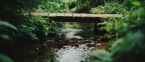 A wooden bridge spans a serene stream, surrounded by lush greenery, creating a tranquil and picturesque natural scene. photo