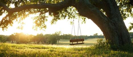 A serene swing hangs from a tree, surrounded by lush green grass and bathed in warm sunlight, creating a peaceful outdoor scene. photo