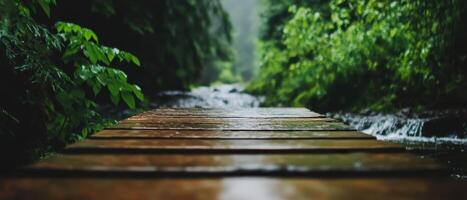 A serene wooden path leads through lush greenery, surrounded by a gentle stream, evoking tranquility and connection to nature. photo