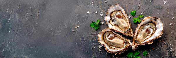 Fresh opened oysters on a dark textured background with sea salt and parsley, perfect for gourmet seafood menus or luxury dining concepts. Banner with empty copy space photo