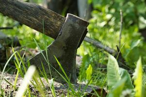 Closeup of an axe embedded in wood surrounded by green grass photo