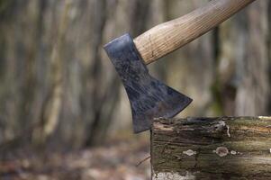 An axe is deeply embedded in a weathered log, set against a blurred forest backdrop. photo
