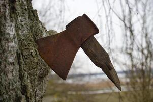 A rusty, old axe with a broken wooden handle stuck in a tree, showing the wear and tear of time. photo