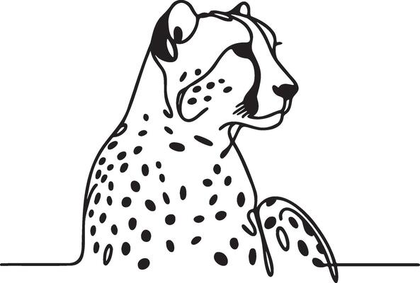 Cheetah Line Art.