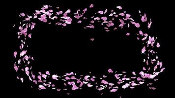 Elegant Animated Pink Flower Petal Frame with Floating Blossoms with a Transparent Background 8k video