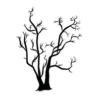 Silhouette of Bare Tree with Branches on White Background vector