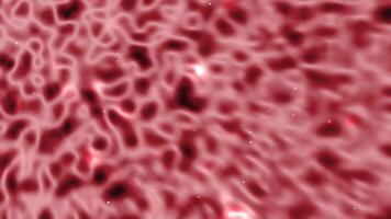 Particle abstract background in vibrant red and white suitable for digital designs, presentations, posters, and website backgrounds. Bright and eyecatching. video