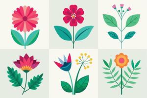 Six colorful floral plant set, various botanical arrangements on a light background vector