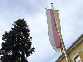 Austrian flag on pole near historic building and tall tree against cloudy sky photo