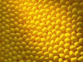 Bright yellow pattern of randomly arranged oval shapes creating a vibrant textured surface photo