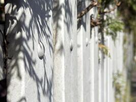 Concrete fence with leaf shadows creating natural patterns on a sunny day photo