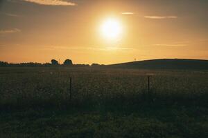 Sunset over a wide field with rolling hills in the background photo