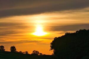 Sunset behind trees and fields, the sky glows in warm yellow and orange tones photo