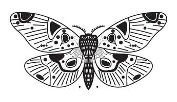 Mystical butterfly in boho style. Illustration in doodle style. vector