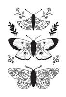 Set of mystical butterflies in boho style. vector