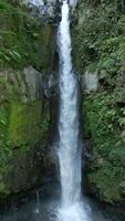 Waterfall cascading down moss-covered cliffs in lush green jungle in Indonesia. video