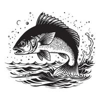 Fish silhouette icons set on white background. Fish icons set isolated vector