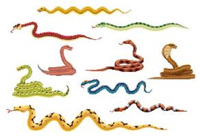8bit arcade game pixel art snakes and reptiles vector