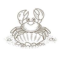 Smiling crab outline sketch on sandy beach with shell details and rocks vector