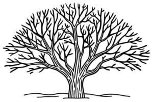 Leafless tree silhouette intricate branch patterns in bold black and white illustration vector