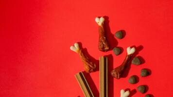 Dog treats arranged creatively on a vibrant red background, pet care, National Pet Day, playful design photo